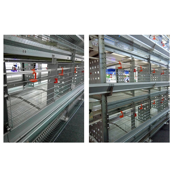 黄南层叠式种鸡笼养设备