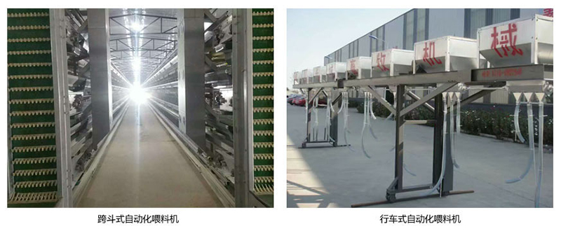 蛋鸡自动送料系统