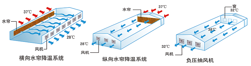 蛋鸡降温湿帘